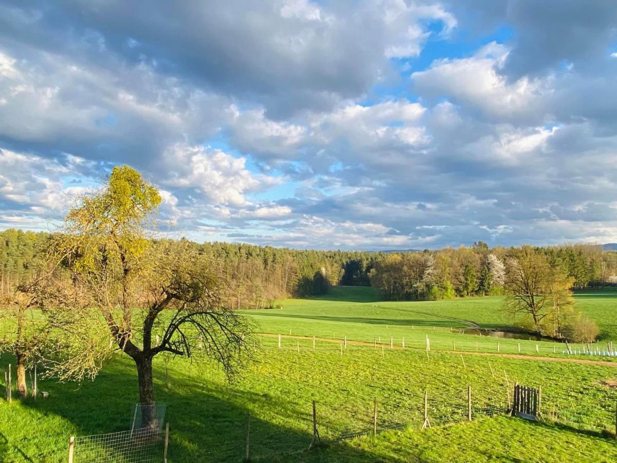 Lebenshof Varm - Die Vegane Farm Villa Sulb Exterior foto