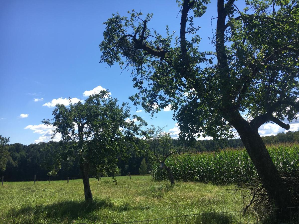 Lebenshof Varm - Die Vegane Farm Villa Sulb Exterior foto