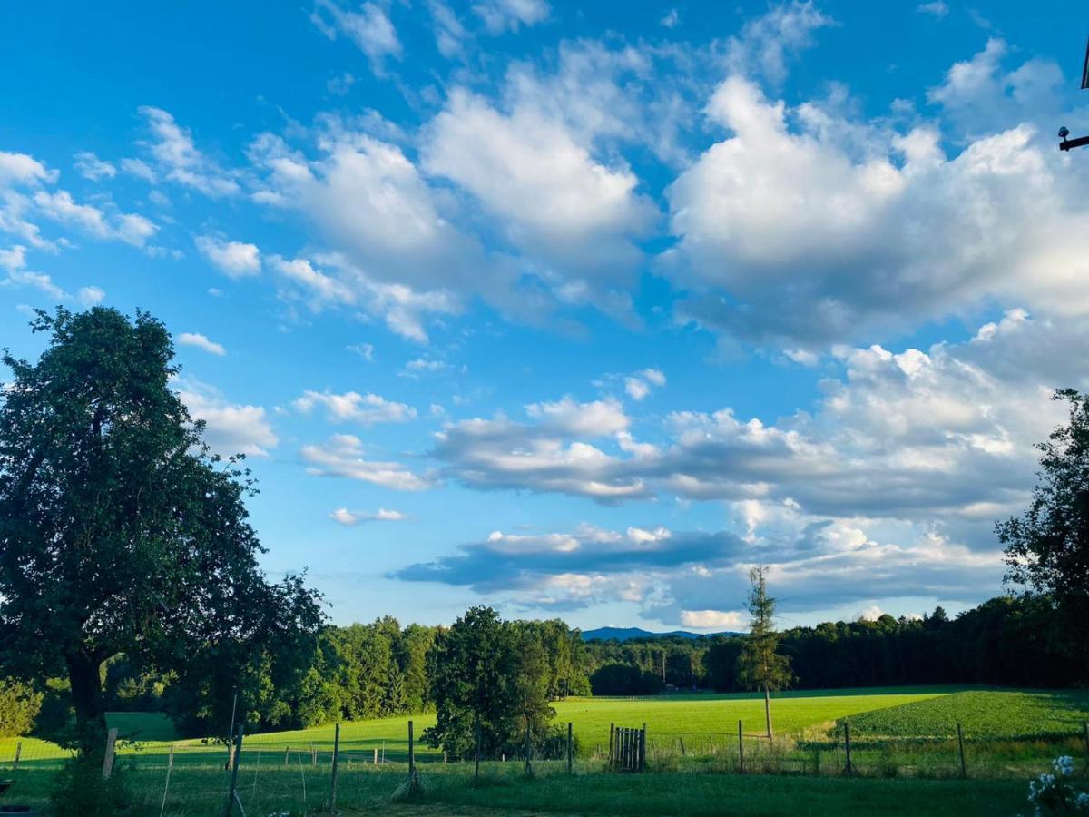 Lebenshof Varm - Die Vegane Farm Villa Sulb Exterior foto