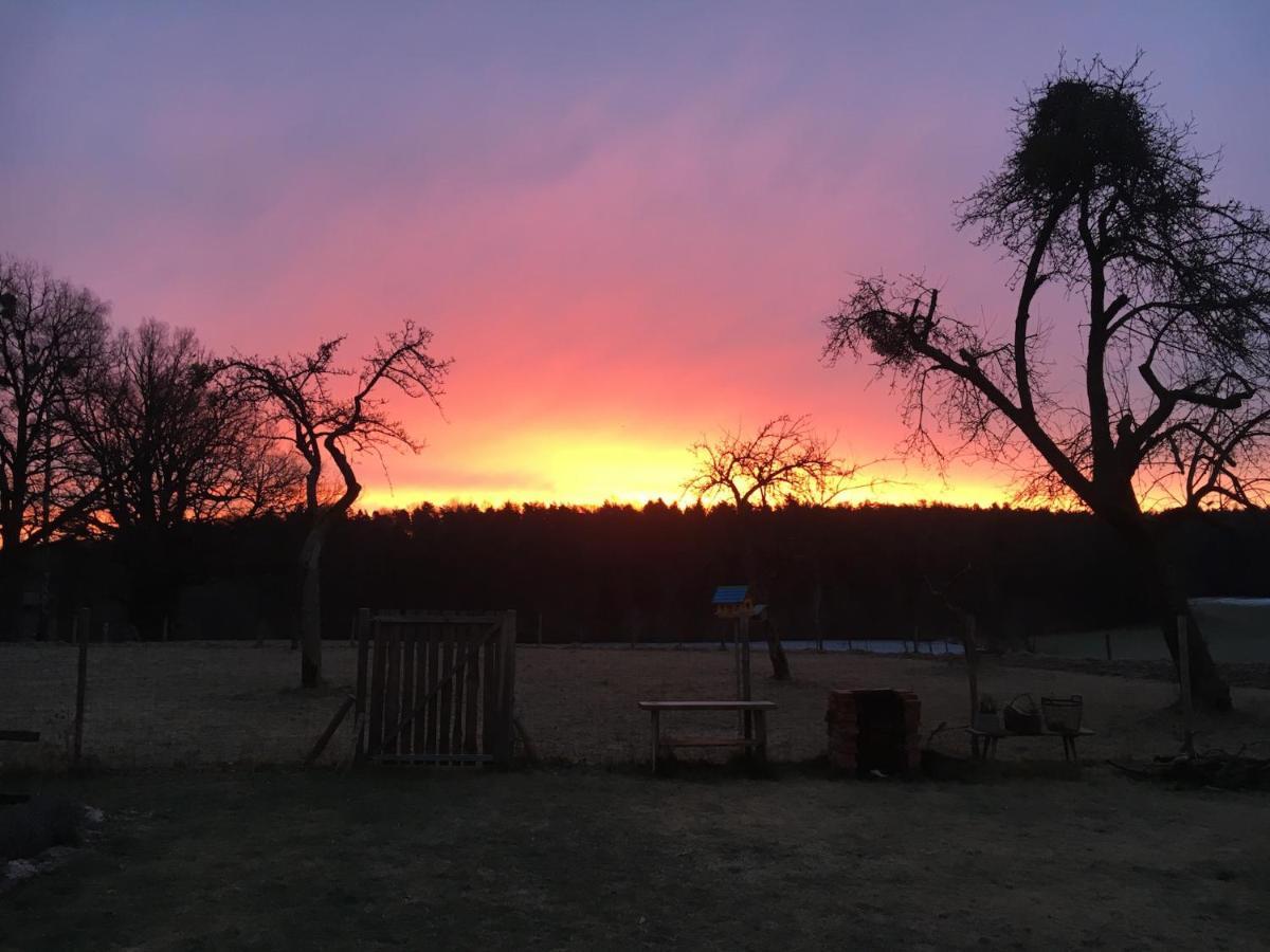 Lebenshof Varm - Die Vegane Farm Villa Sulb Exterior foto